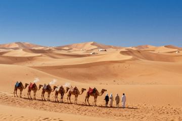 Illustrative header image for Camel Treks & Desert Camps