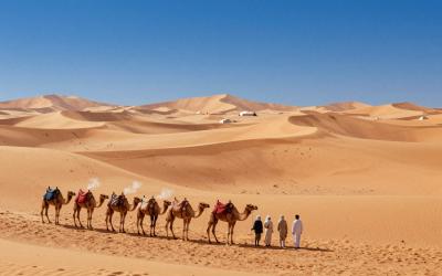 Illustrative header image for Camel Treks & Desert Camps