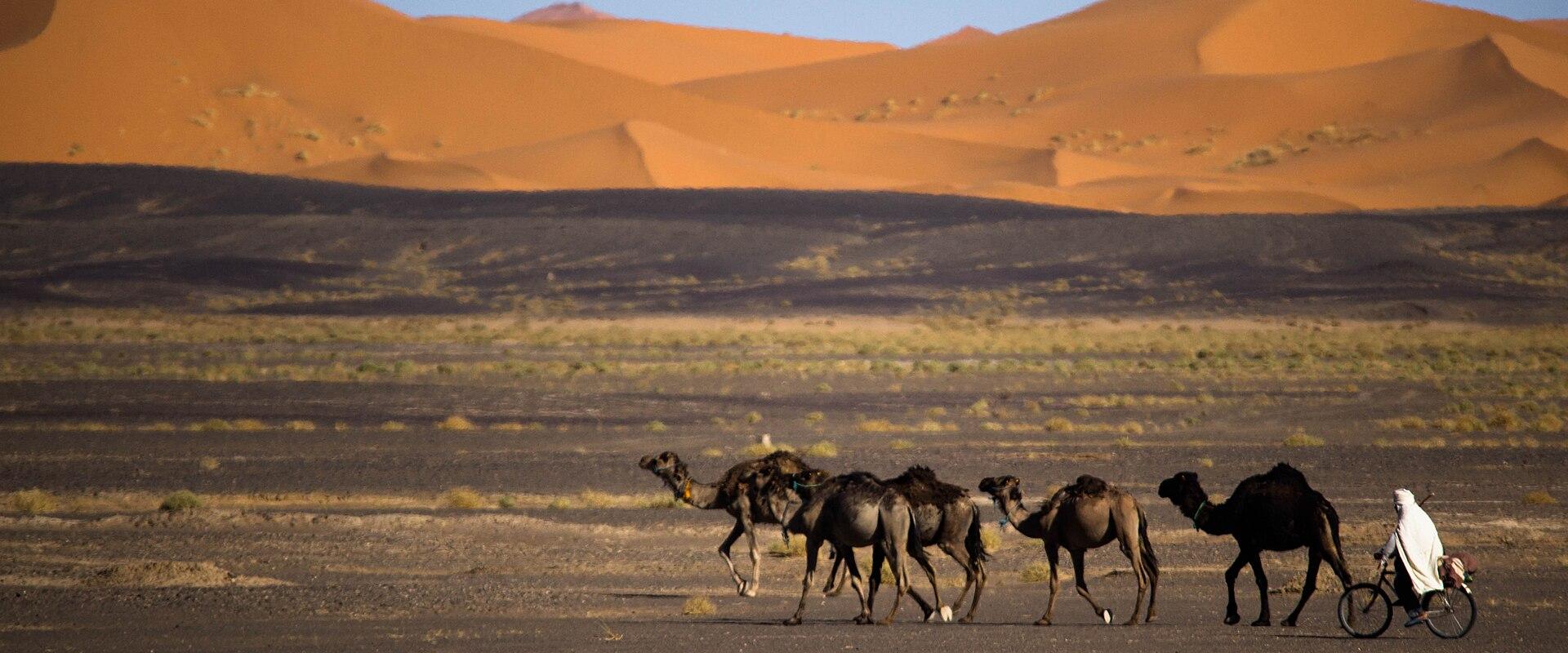 Merzouga