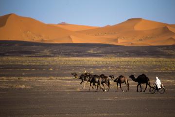 Merzouga