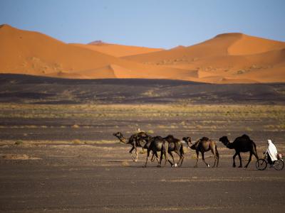 Merzouga