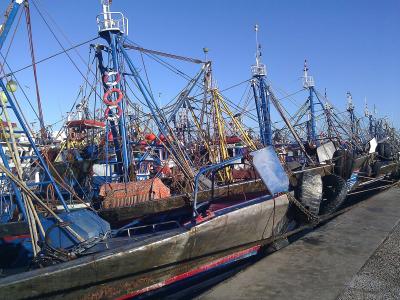 Blue fishing boats moored in the port of Laayoune
