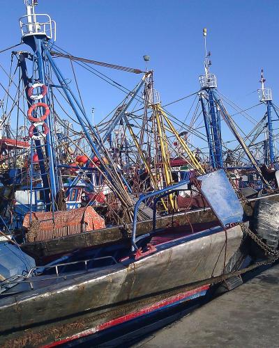 Blue fishing boats moored in the port of Laayoune