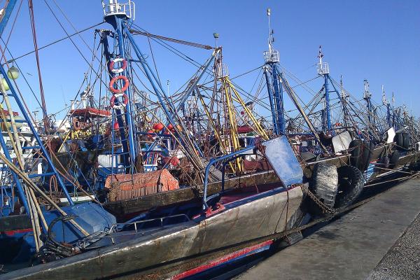 Laâyoune Port Area
