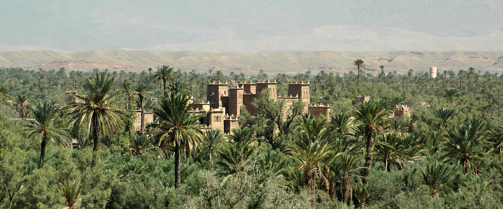 Skoura Palm Grove
