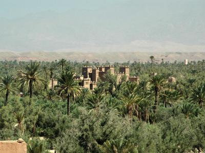 A large, traditional earthen kasbah with crenellated towers is visible rising above a dense grove of palm trees and other vegetation, with arid hills in the background.