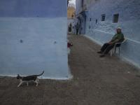 Medina of Chefchaouen