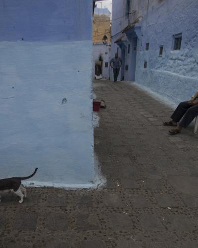 A narrow, cobblestone alleyway flanked by walls painted in various shades of blue, featuring a man sitting on a white plastic chair on the right and a black-and-white cat walking in the foreground.