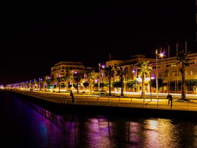 A night-time long-exposure photograph of a waterfront promenade featuring a paved walkway, a metal railing, palm trees, and multi-story buildings illuminated by streetlights and decorative purple lights, with light trails from vehicles on the road.