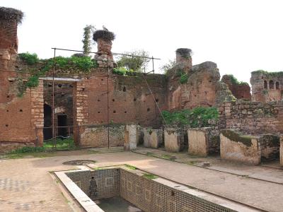 The image shows ancient brick ruins with large stork nests on top of pillars, a tiled pool in the foreground, and scaffolding, identified by the filename as "Sala Colonia Ruins".