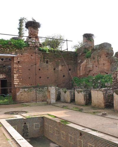 The image shows ancient brick ruins with large stork nests on top of pillars, a tiled pool in the foreground, and scaffolding, identified by the filename as "Sala Colonia Ruins".