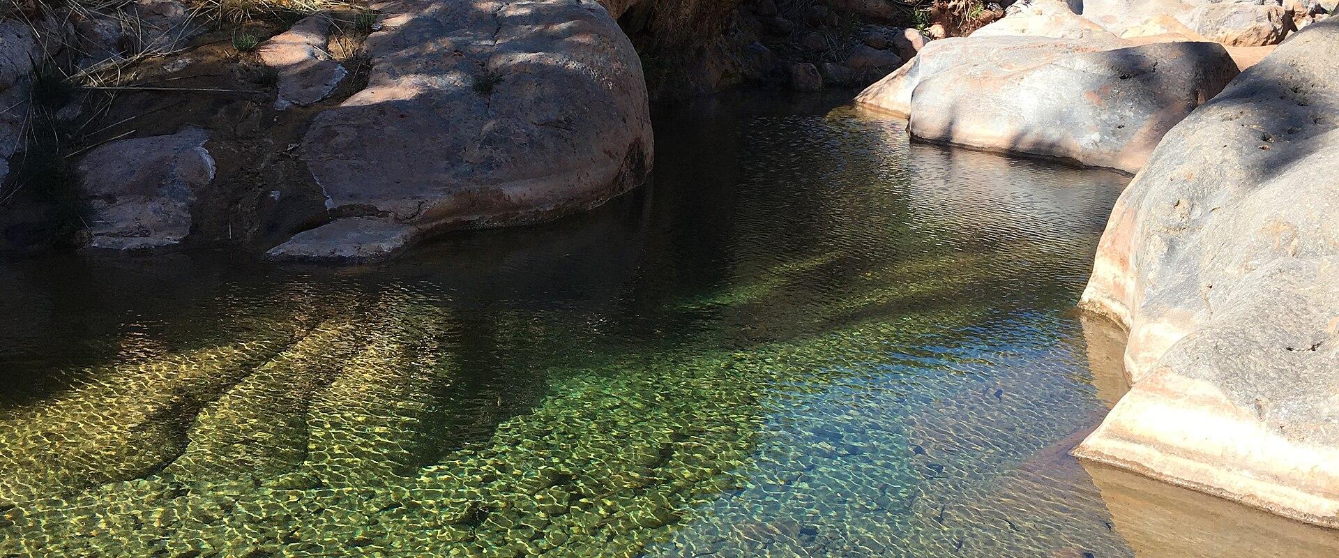 A natural swimming pool formed by large boulders in a rocky, arid canyon with clear water and vegetation on the banks.