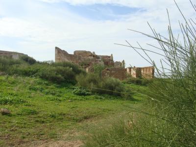 The image shows the weathered stone ruins of a historic fortress situated on a grassy, overgrown hillside with a blue sky and clouds above.