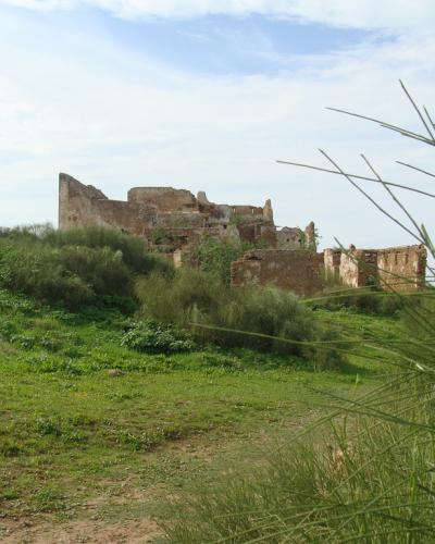 The image shows the weathered stone ruins of a historic fortress situated on a grassy, overgrown hillside with a blue sky and clouds above.