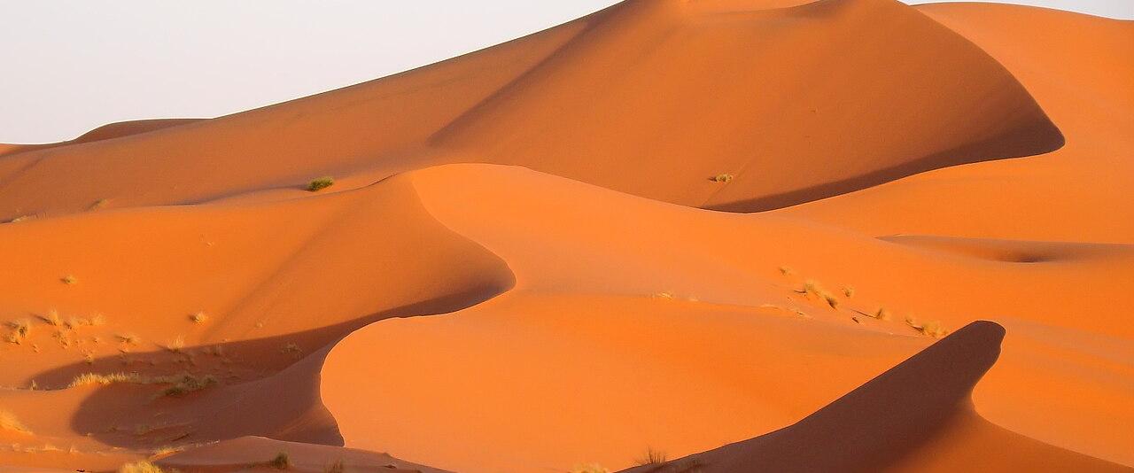 Wind-sculpted orange sand dunes of Erg Chebbi under a clear sky