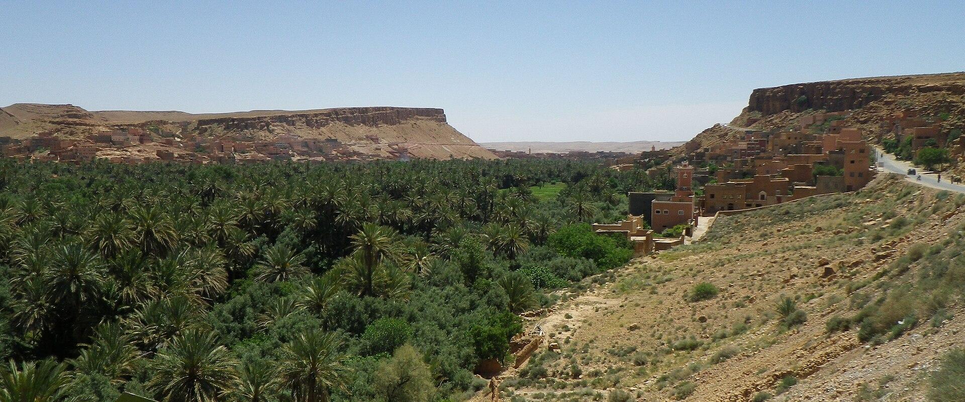Todra Gorge (Gorges du Todra)