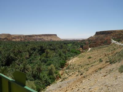 A wide landscape view of a lush palm oasis valley surrounded by arid, rocky hills and traditional earthen buildings, with a green railing visible in the foreground.