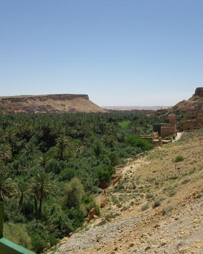 A wide landscape view of a lush palm oasis valley surrounded by arid, rocky hills and traditional earthen buildings, with a green railing visible in the foreground.
