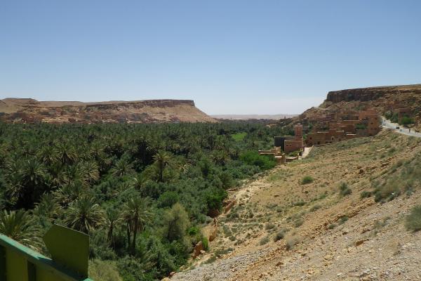 Todra Gorge (Gorges du Todra)