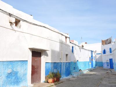 A narrow, cobblestone street lined with whitewashed buildings featuring bright blue-painted lower walls and doors, under a clear blue sky.