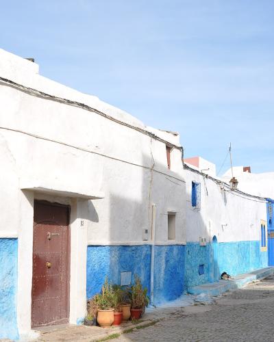 A narrow, cobblestone street lined with whitewashed buildings featuring bright blue-painted lower walls and doors, under a clear blue sky.
