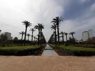 A symmetrical view of a formal park featuring a long central water channel lined with tall palm trees and manicured hedges, with modern buildings visible in the background.