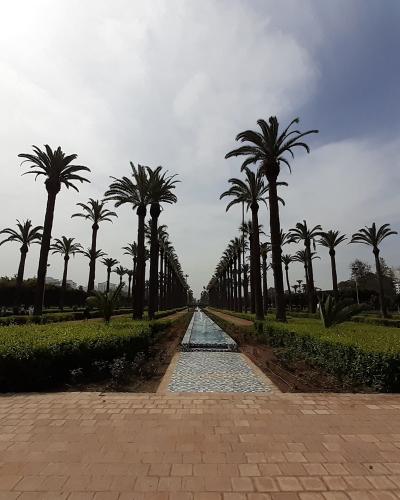 A symmetrical view of a formal park featuring a long central water channel lined with tall palm trees and manicured hedges, with modern buildings visible in the background.