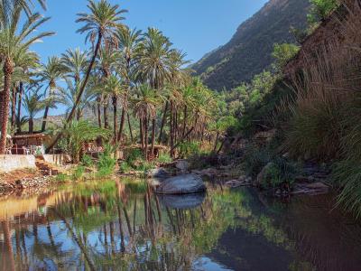A scenic view of a calm river or stream surrounded by tall palm trees and lush greenery, with a mountain slope in the background and a small seating area visible on the left bank.