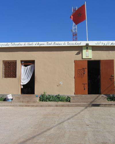 A single-story beige building with a Moroccan flag on the roof and a sign reading "Coopérative Taïmatine de l'huile d'Argane - Taroudant - Province de Taroudant" in French and Arabic.