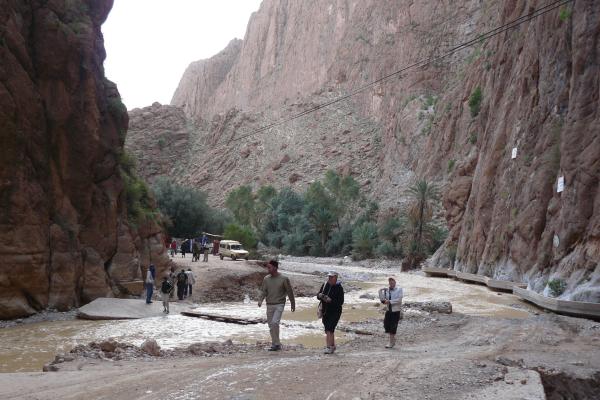 Todra Gorge (Gorges du Todra)
