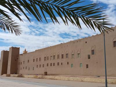 A long, beige earthen wall with small windows and a crenellated top, viewed from a paved plaza with palm fronds in the foreground.