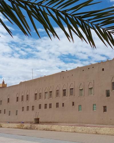 A long, beige earthen wall with small windows and a crenellated top, viewed from a paved plaza with palm fronds in the foreground.