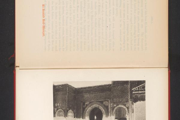 The Blue Gate (Bab Asilah)