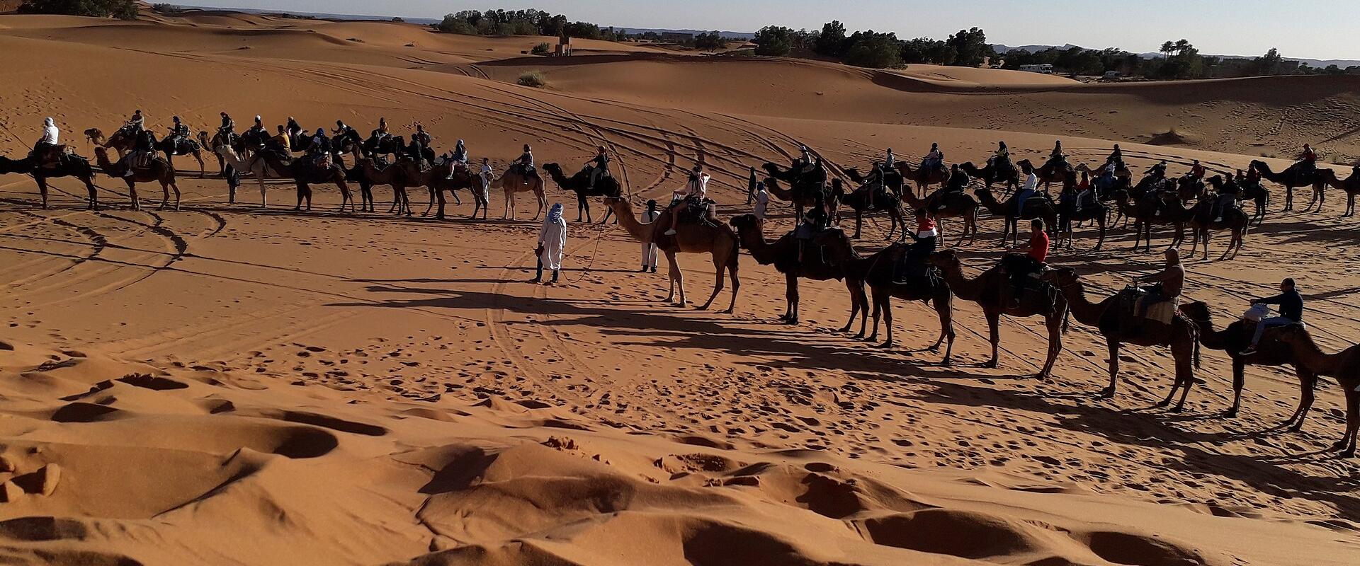 Camel Trekking Expeditions