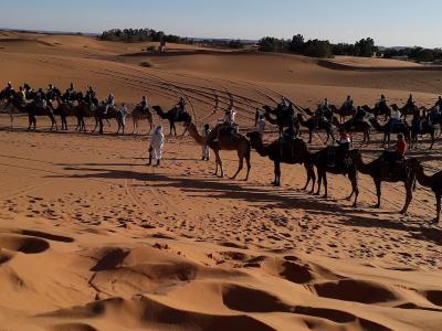 A camel caravan crossing the dunes of Erg Chebbi near Merzouga
