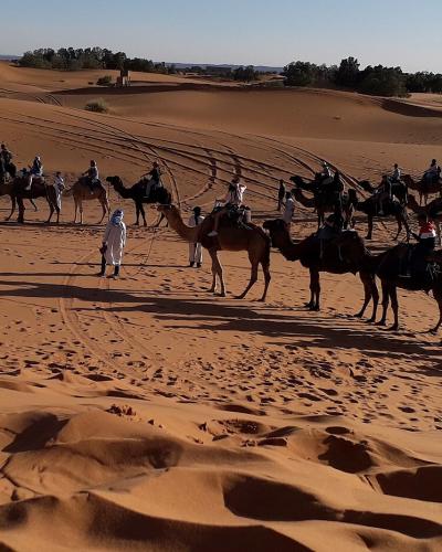 A camel caravan crossing the dunes of Erg Chebbi near Merzouga