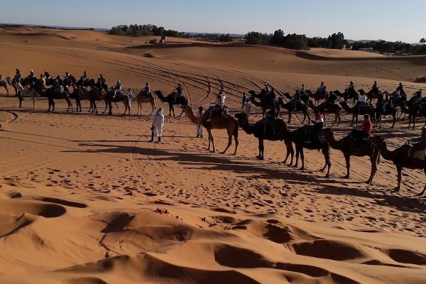 Camel Trekking Expeditions