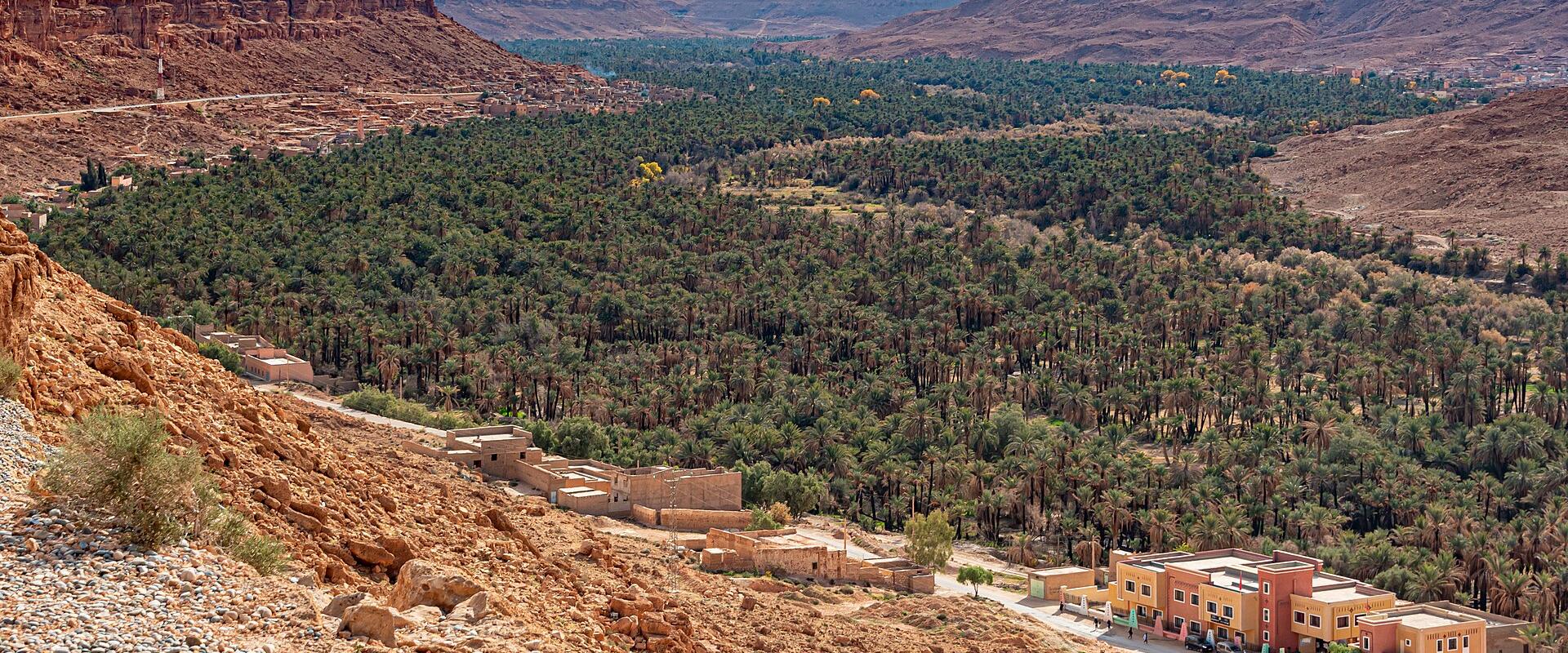 Ziz Valley