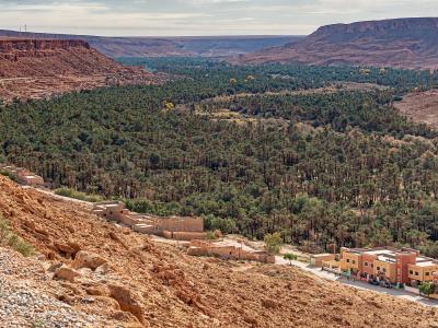 A panoramic view of a lush palm grove situated in a valley floor, surrounded by arid, reddish-brown rocky cliffs and hills, with traditional earthen buildings and a modern hotel complex visible in the foreground.