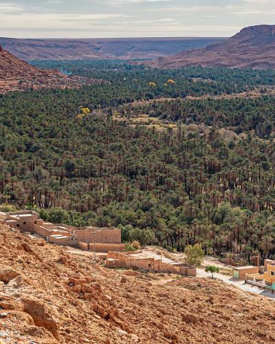 A panoramic view of a lush palm grove situated in a valley floor, surrounded by arid, reddish-brown rocky cliffs and hills, with traditional earthen buildings and a modern hotel complex visible in the foreground.