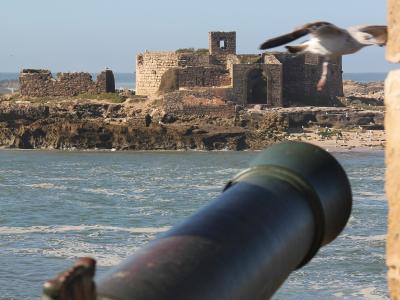 A view from a stone fortification featuring a large cannon in the foreground, looking out over the ocean towards the ruins of the Mogador Island fortress (Fort Mogador) with seagulls flying nearby.