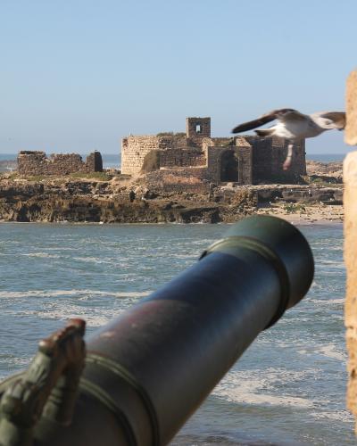 A view from a stone fortification featuring a large cannon in the foreground, looking out over the ocean towards the ruins of the Mogador Island fortress (Fort Mogador) with seagulls flying nearby.