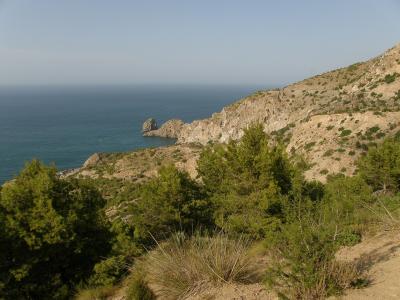 A coastal landscape featuring a rocky headland with Mediterranean pines in the foreground and a prominent sea stack in the distance.