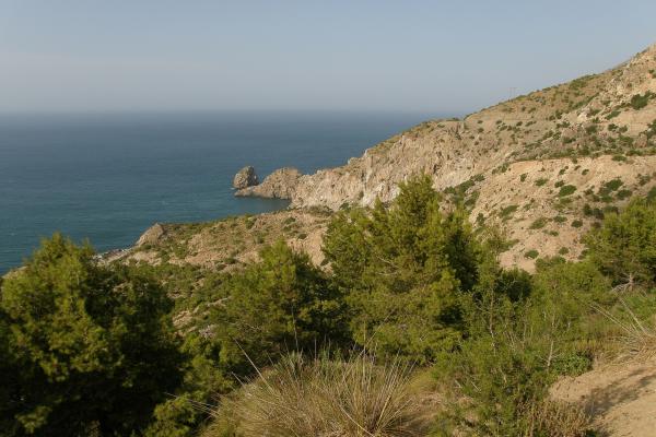 Al Hoceima National Park (Day Trip)