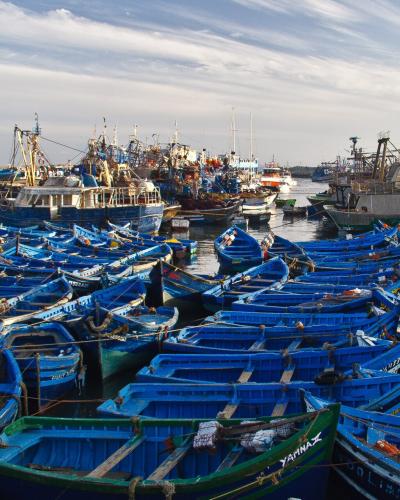 A dense collection of small, wooden fishing boats painted in a distinctive bright blue, tightly packed together in a harbor.