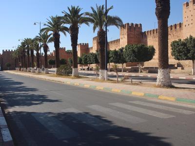 A paved road with a crosswalk runs alongside a wide, tree-lined promenade bordered by tall palm trees and a massive, honey-colored earthen rampart with crenellated towers under a clear blue sky.
