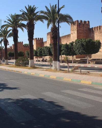 A paved road with a crosswalk runs alongside a wide, tree-lined promenade bordered by tall palm trees and a massive, honey-colored earthen rampart with crenellated towers under a clear blue sky.
