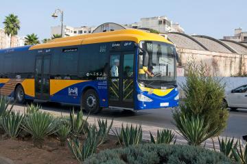 Kenitra