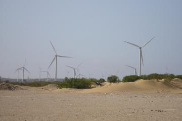 Farms