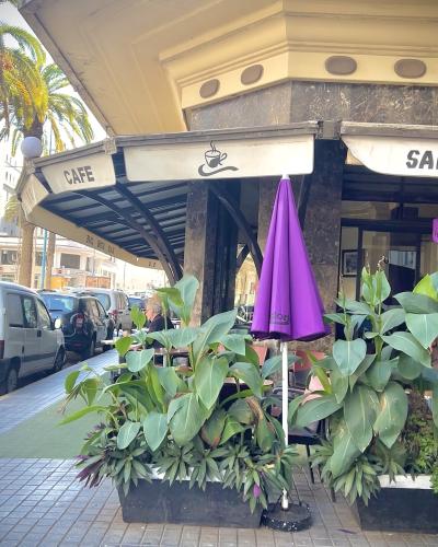 A street-level view of a corner café with "CAFE" and "SALON DE THE" signage on its awning, featuring purple umbrellas, large potted plants, and palm trees along a paved sidewalk with parked cars.